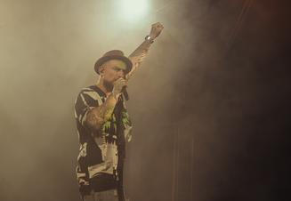 Dub FX (1)