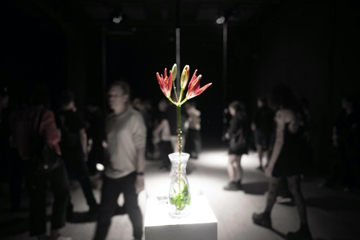 Spider Lilies Breathe Together, bela, Jena Jang and mvd0ae