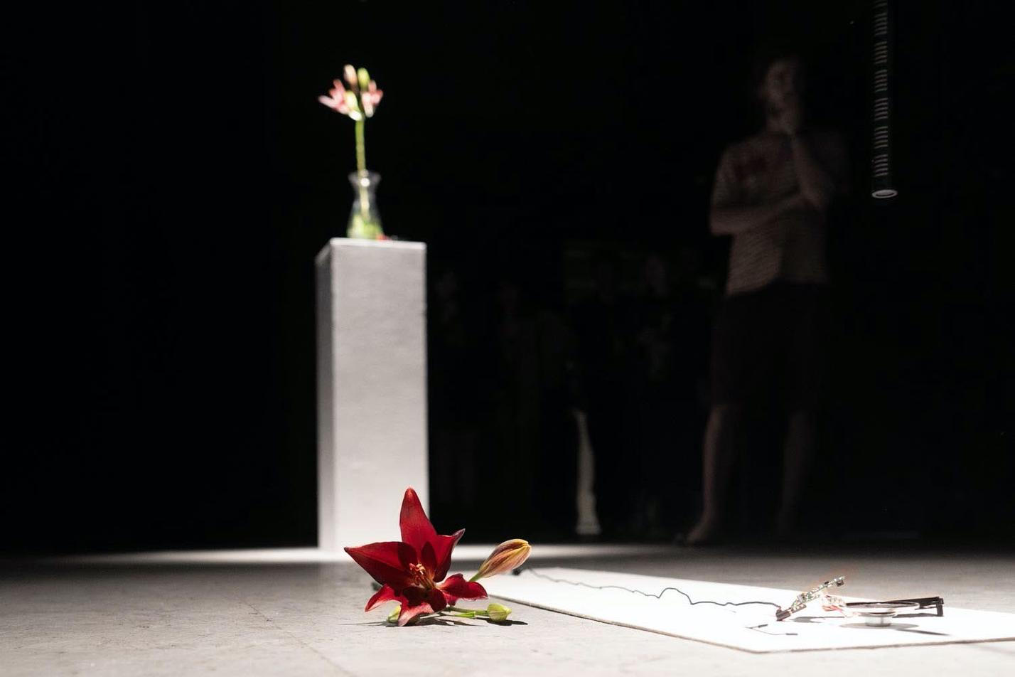 Spider Lilies Breathe Together, bela, Jena Jang and mvd0ae