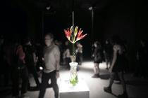 Spider Lilies Breathe Together, bela, Jena Jang and mvd0ae