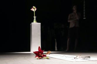 Spider Lilies Breathe Together, bela, Jena Jang and mvd0ae