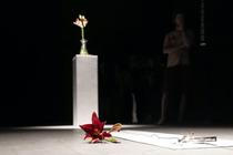 Spider Lilies Breathe Together, bela, Jena Jang and mvd0ae