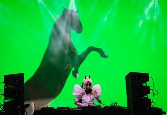 horsegiirl