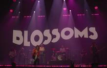 BLOSSOMS 3