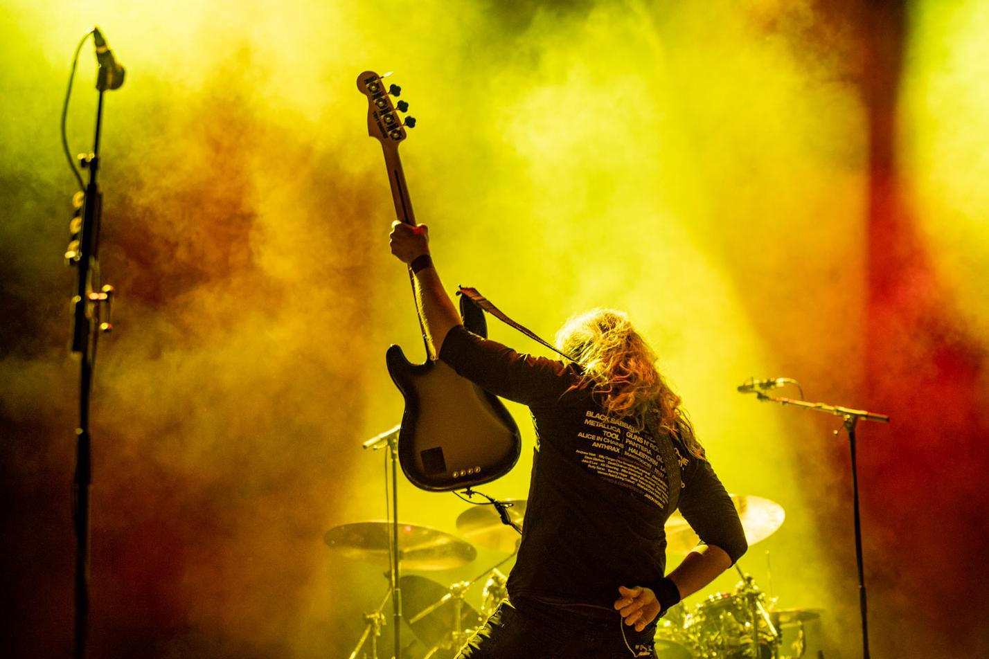 mastodon
