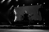 Mayhem2 (1)