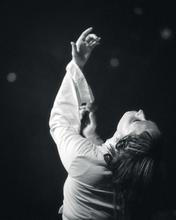 KITTY_FLORENTINE-4