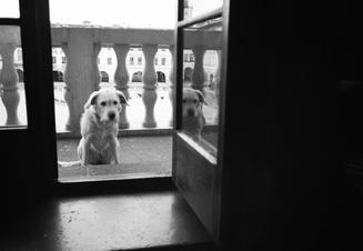 03_novy_jicin_luna-67990017