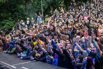 fans (7) (5)