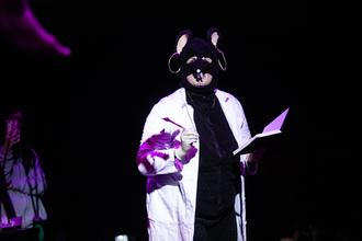 Fly high tribe show (2) (1)