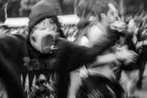 fans (7) (3)