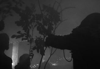 Botanist