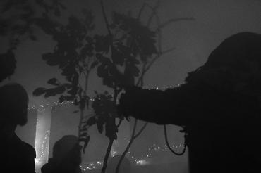 Botanist