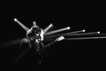 Wolfmother -Roxy