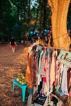 02_Fest Fetival