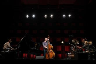Avishai Cohen Trio