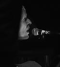 27-Swans