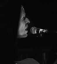 27-Swans