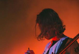 fleet foxes (2)