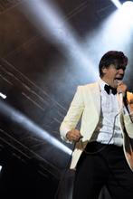 the hives004