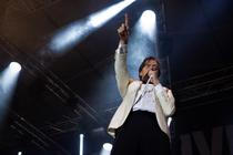 the hives003