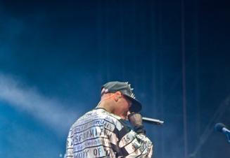 4298_skunk_anansie