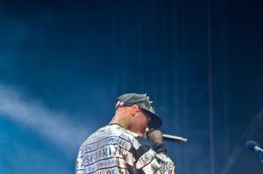 4298_skunk_anansie