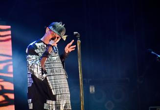 4302_skunk_anansie