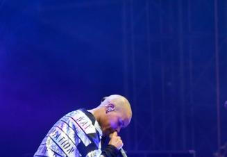 4323_skunk_anansie