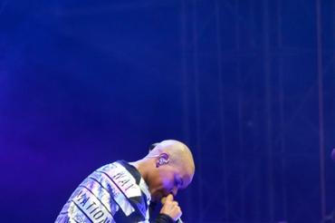 4323_skunk_anansie