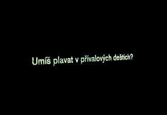 Environmentální otázky