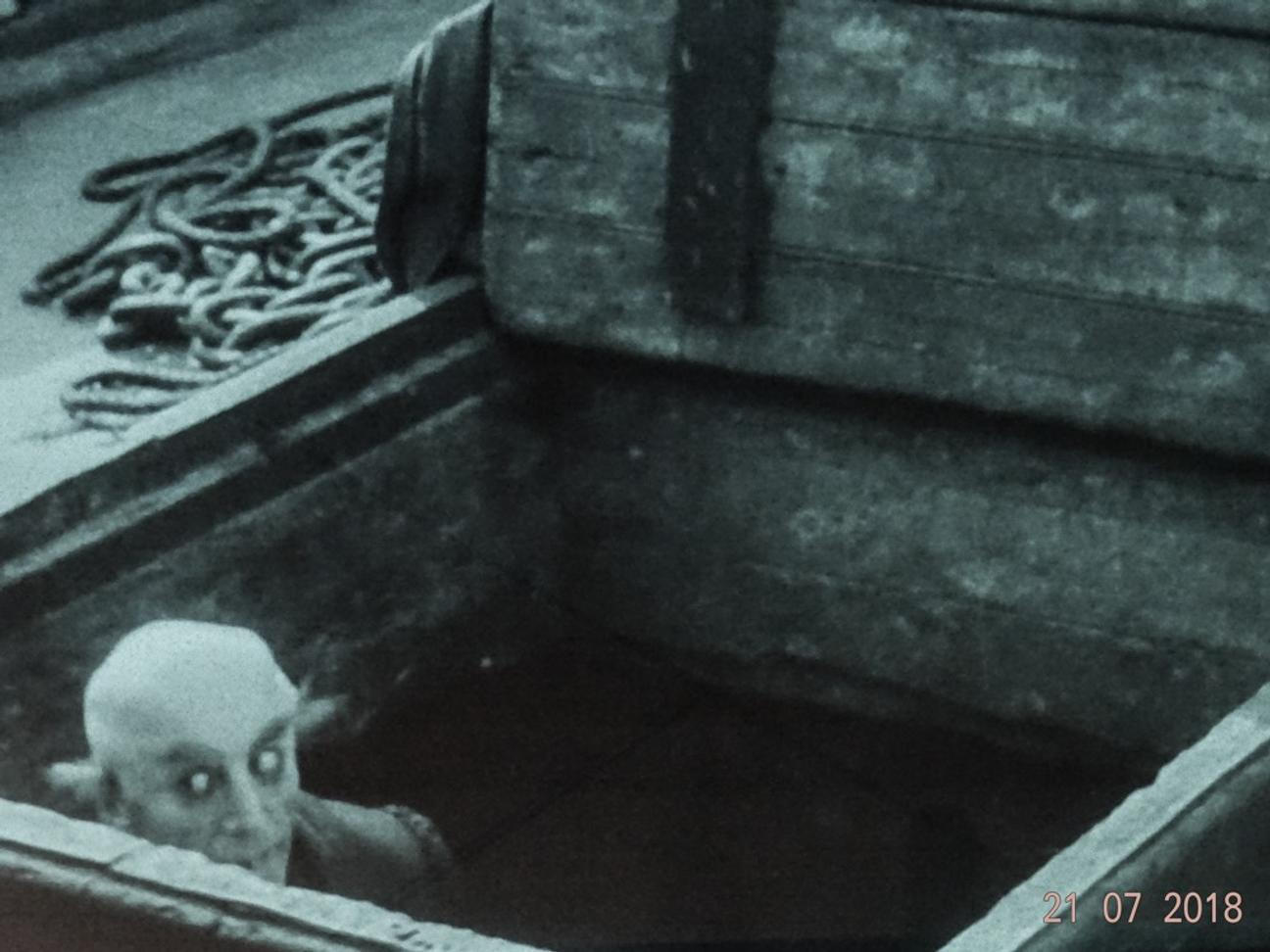 13 Tabor radosti a Upir Nosferatu