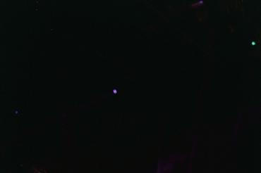 crowd1