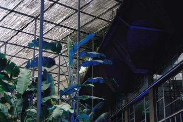 EstufaFria2 (1)