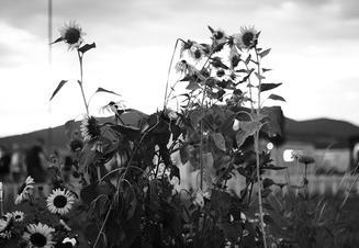 fullmoonzine.cz