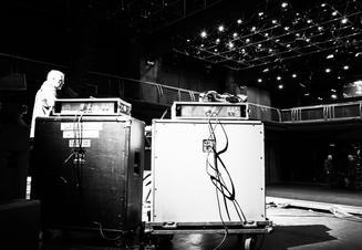 03_swans
