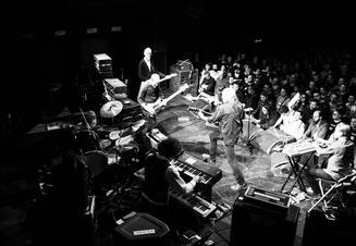 11_swans