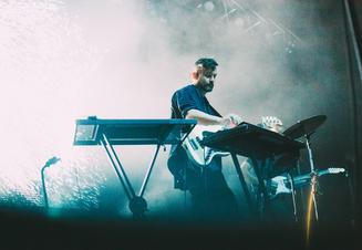 bonobo