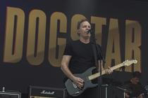 Dogstar (4)