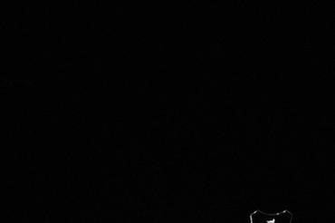 Peter Hook-6
