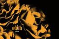 Edith - Zlom