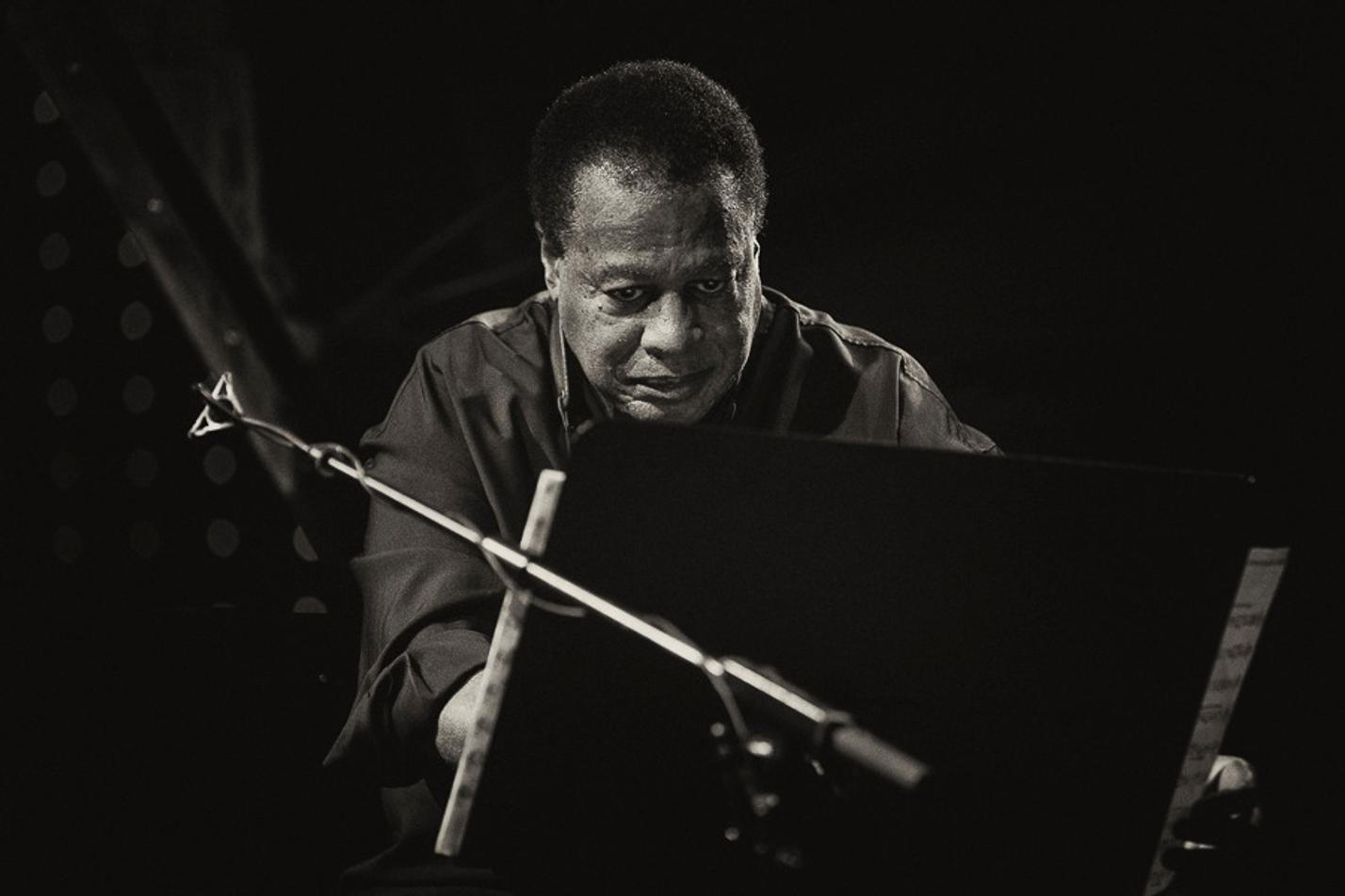WayneShorterQuartet15