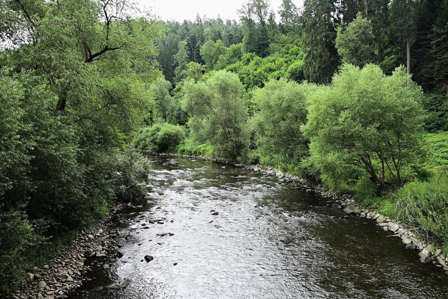 Lužnice
