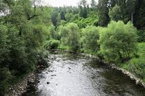 Lužnice