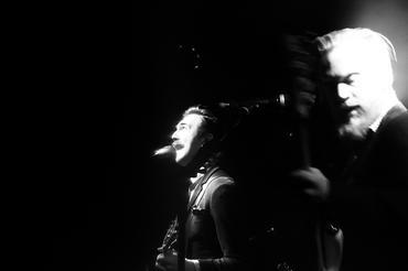 Royal Republic