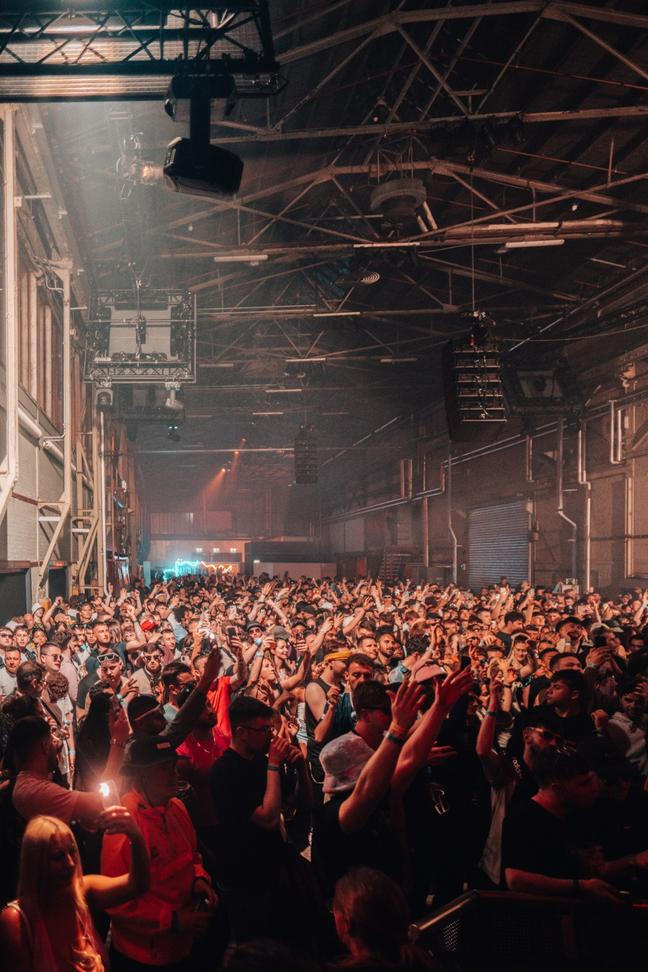33_WHP