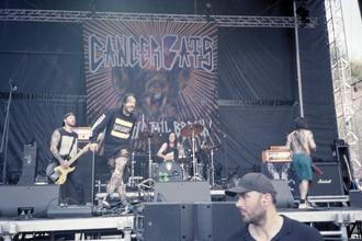 Cancer Bats (3)