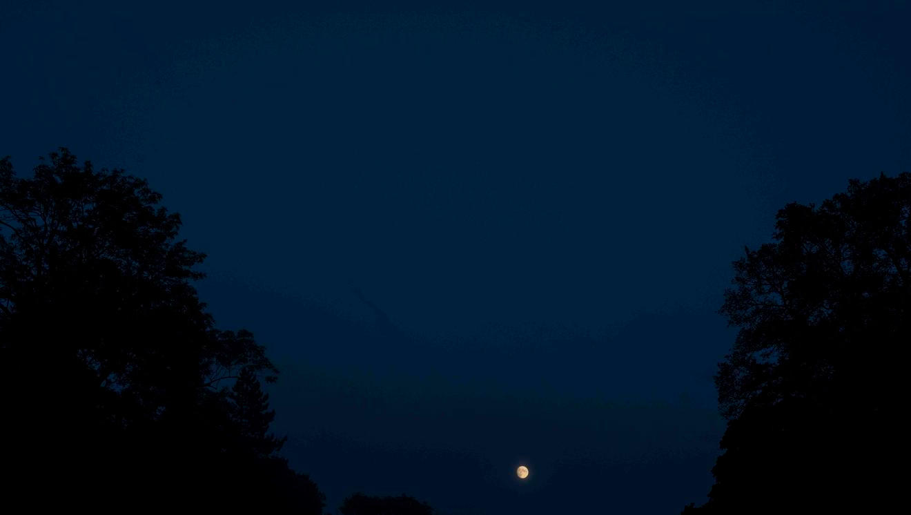 fullmoonzine.cz