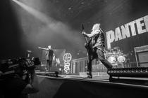 PANTERA (4)