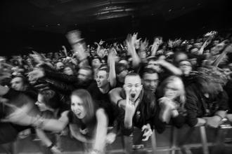 FANS (1) (13)